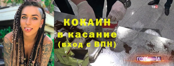 хмурый Алексин