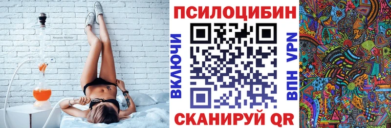 Псилоцибиновые грибы прущие грибы маркетплейс какой сайт Кола купить закладку
