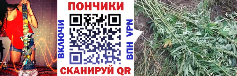 Бошки марихуана White Widow  кракен как зайти  Кола  купить наркотики сайты 